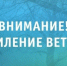 Ветреную погоду в Новодвинске прогнозируют синоптики. - Город Новодвинск